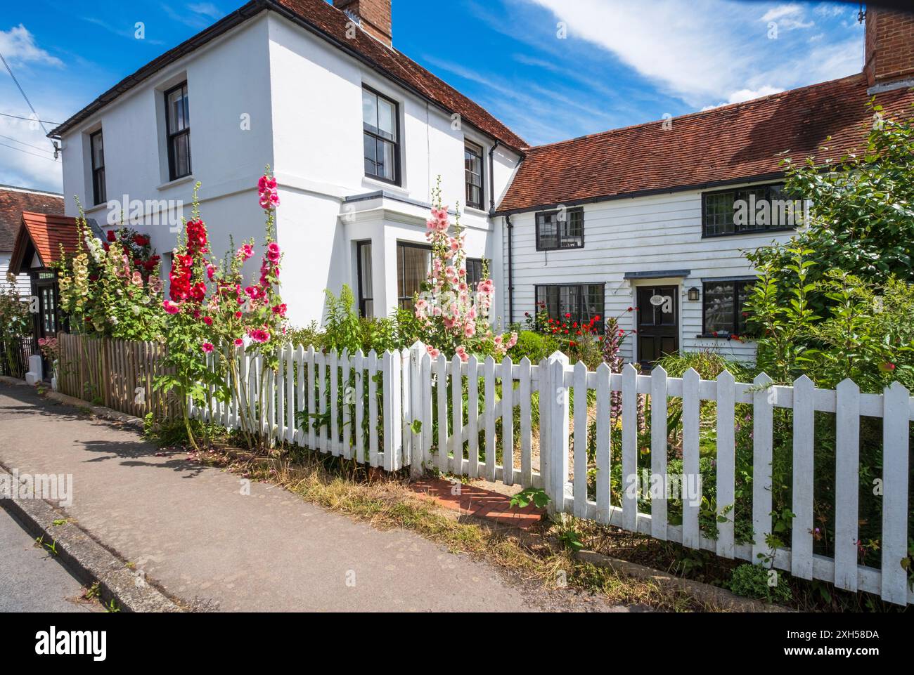 Hollyhocks in a pretty garden on the roadside at Northiam, East Sussex, UK Stock Photo