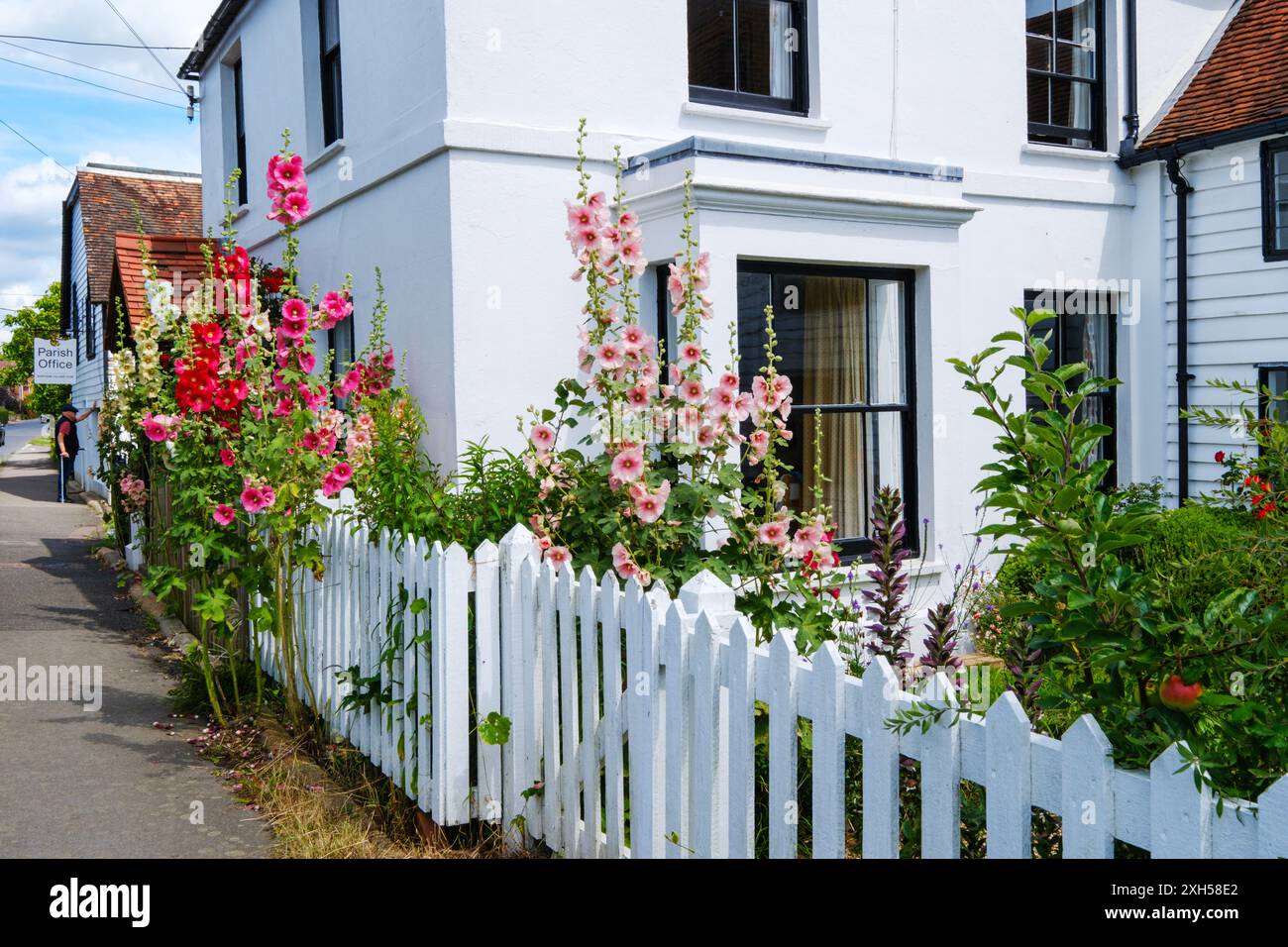 Garden fence with hollyhocks hi-res stock photography and images - Alamy