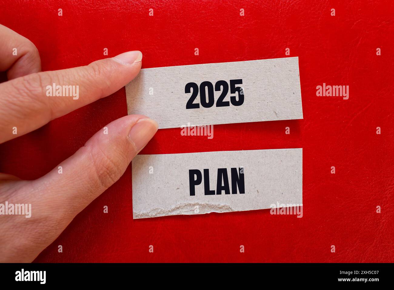2025 plan message written on paper pieces with red background