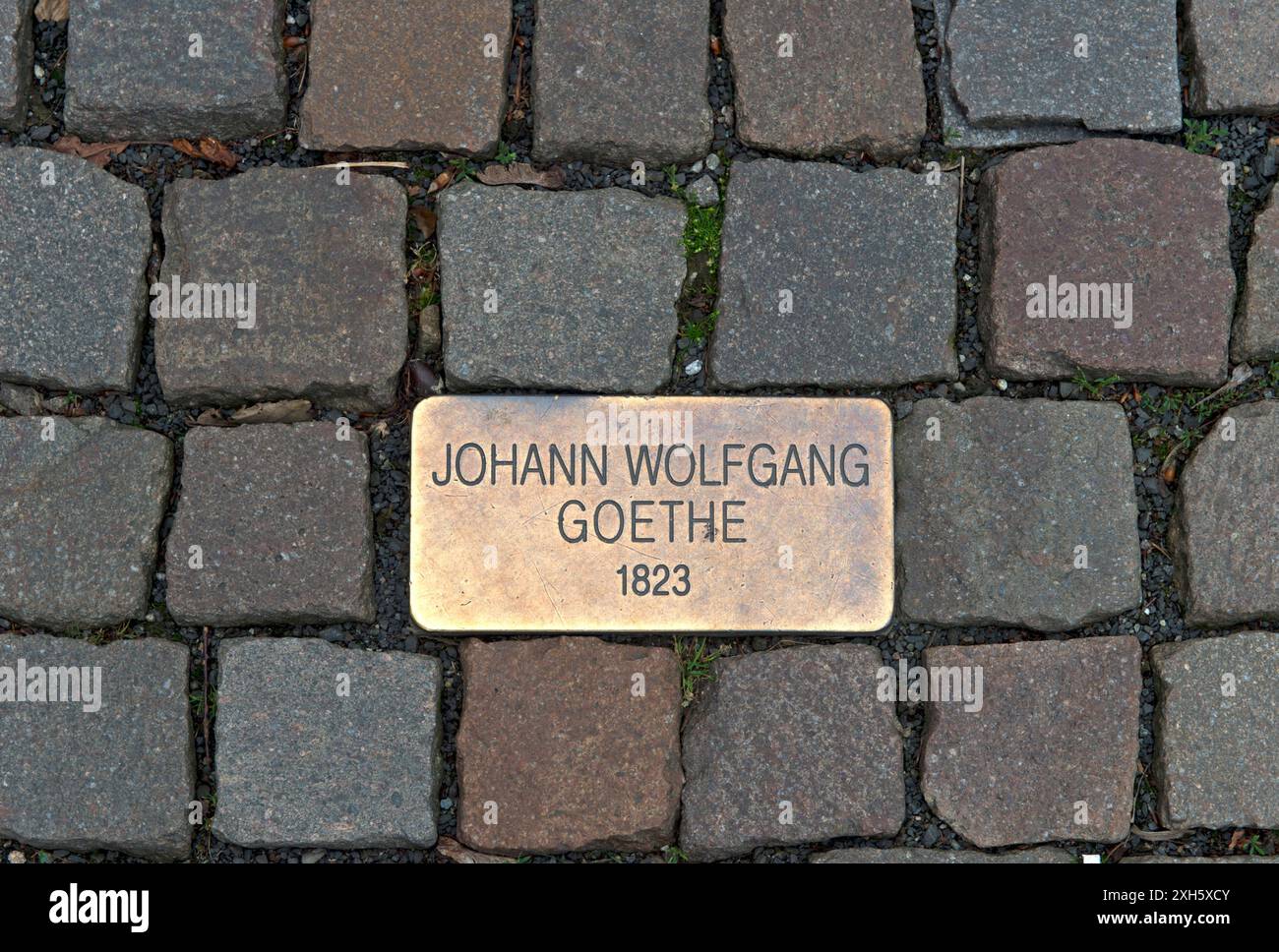 Stumbling stone for Johann Wolfgang von Goethe in front of the Grandhotel Pupp in the spa quarter, Karlovy Vary, Bohemia, Czech Republic Stock Photo