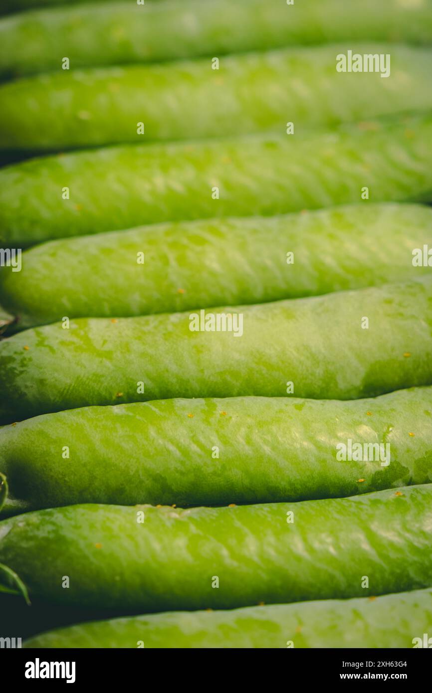 Close up fresh shelled hi-res stock photography and images - Alamy