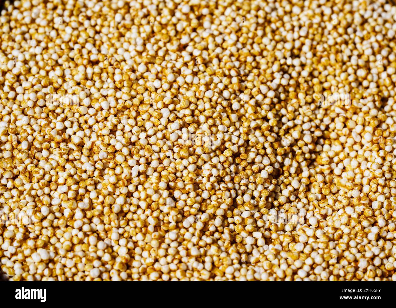 quinoa (Chenopodium quinoa), white quinoa seeds Stock Photo