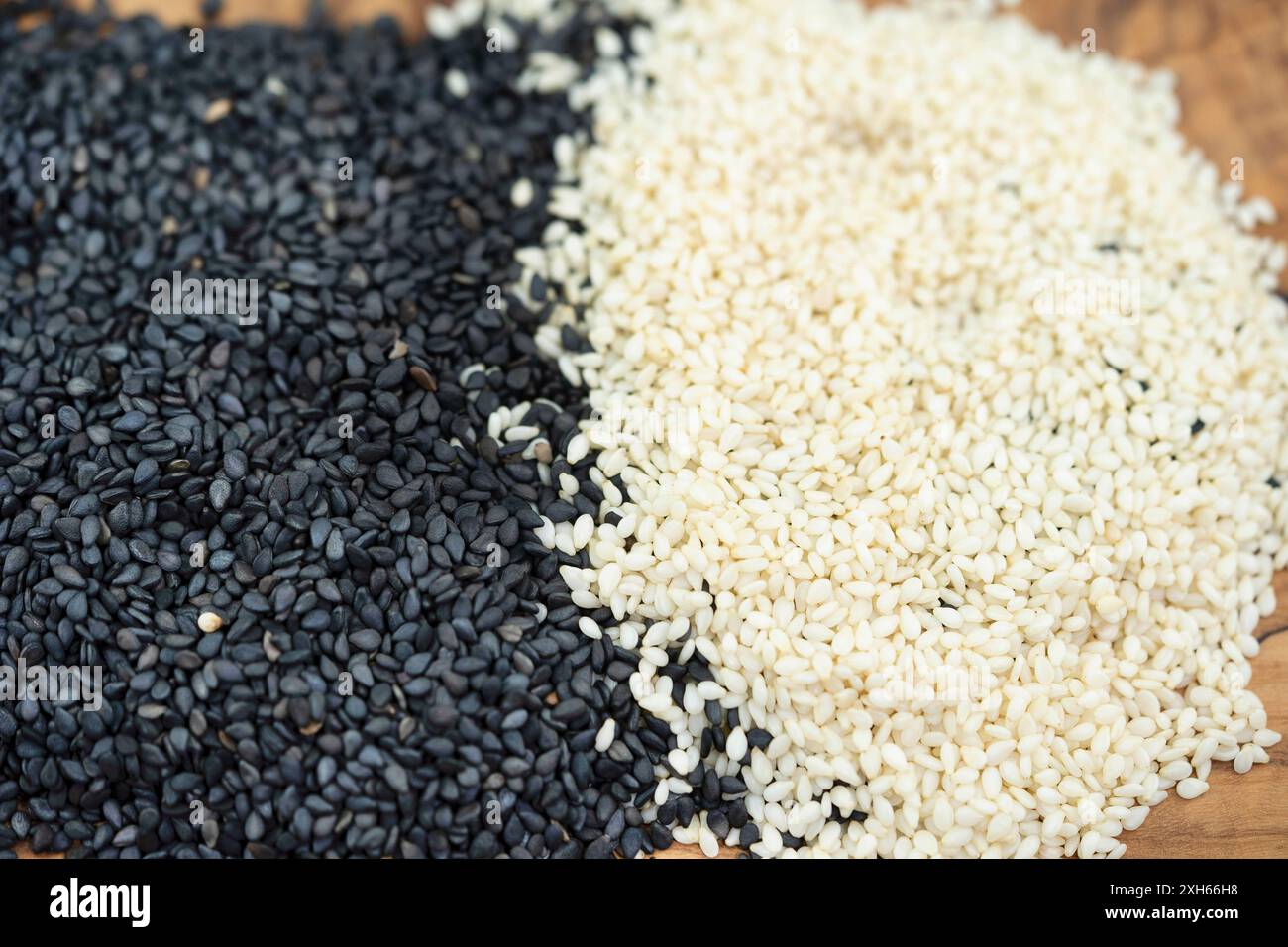 sesamum, sesame (Sesamum indicum), peeled and unpeeled sesame seeds Stock Photo