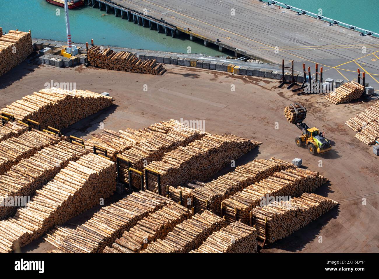 Radiata Pine rough logs waiting to be shipped to export and domestic locations from the Port of Napier in the North Island of New Zealand Stock Photo