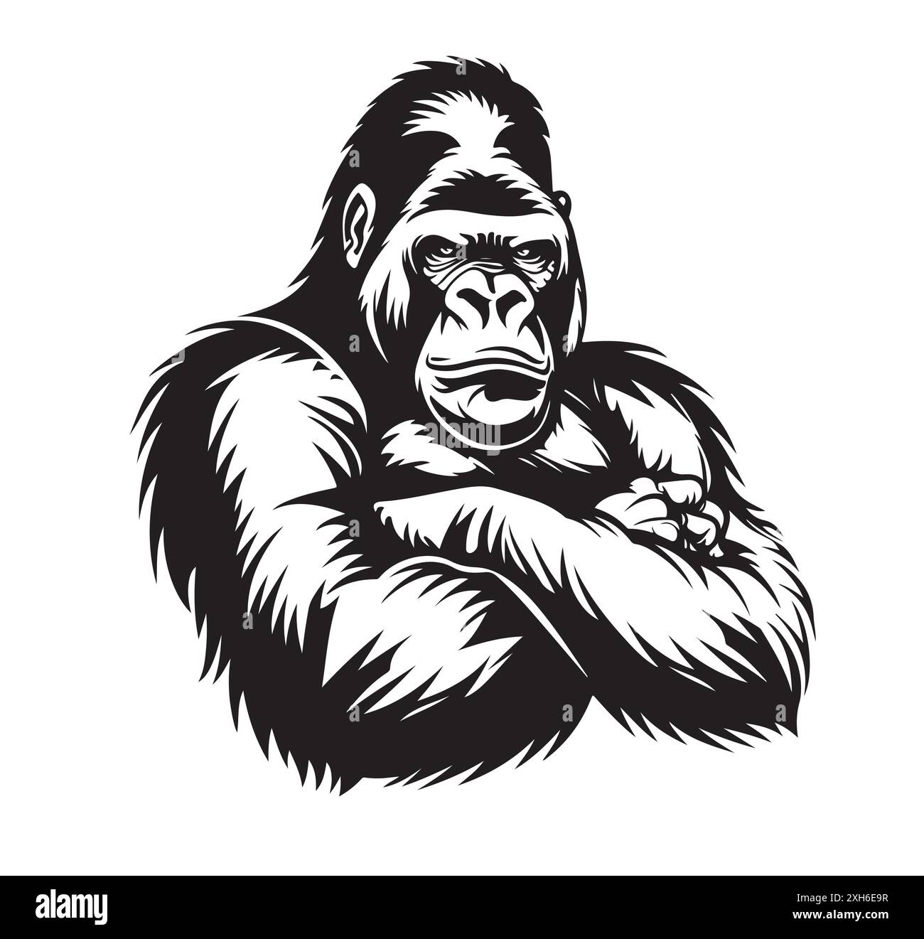 Gorilla Illustration Hand Drawn Isolated Vector illustration Stock ...