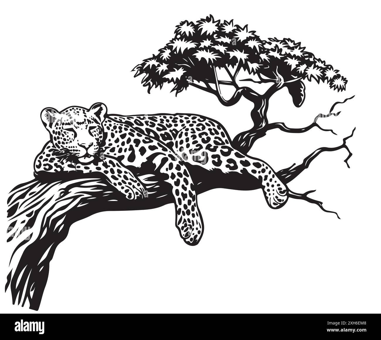 Leopard sitting isolated Stock Vector Images - Alamy