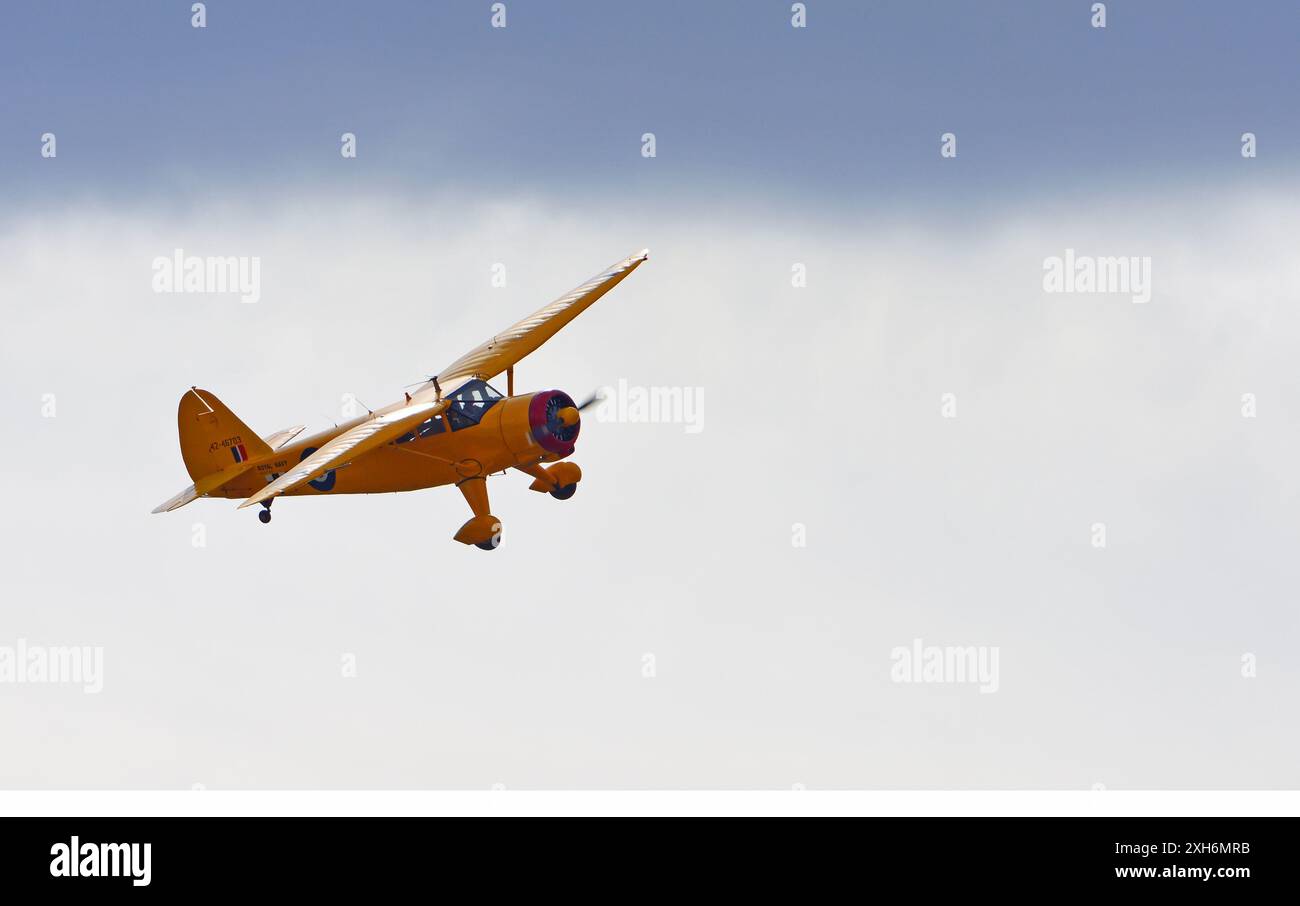 Stinson Reliant  aircraft  1942 in  royal navy yellow colours flying . Stock Photo