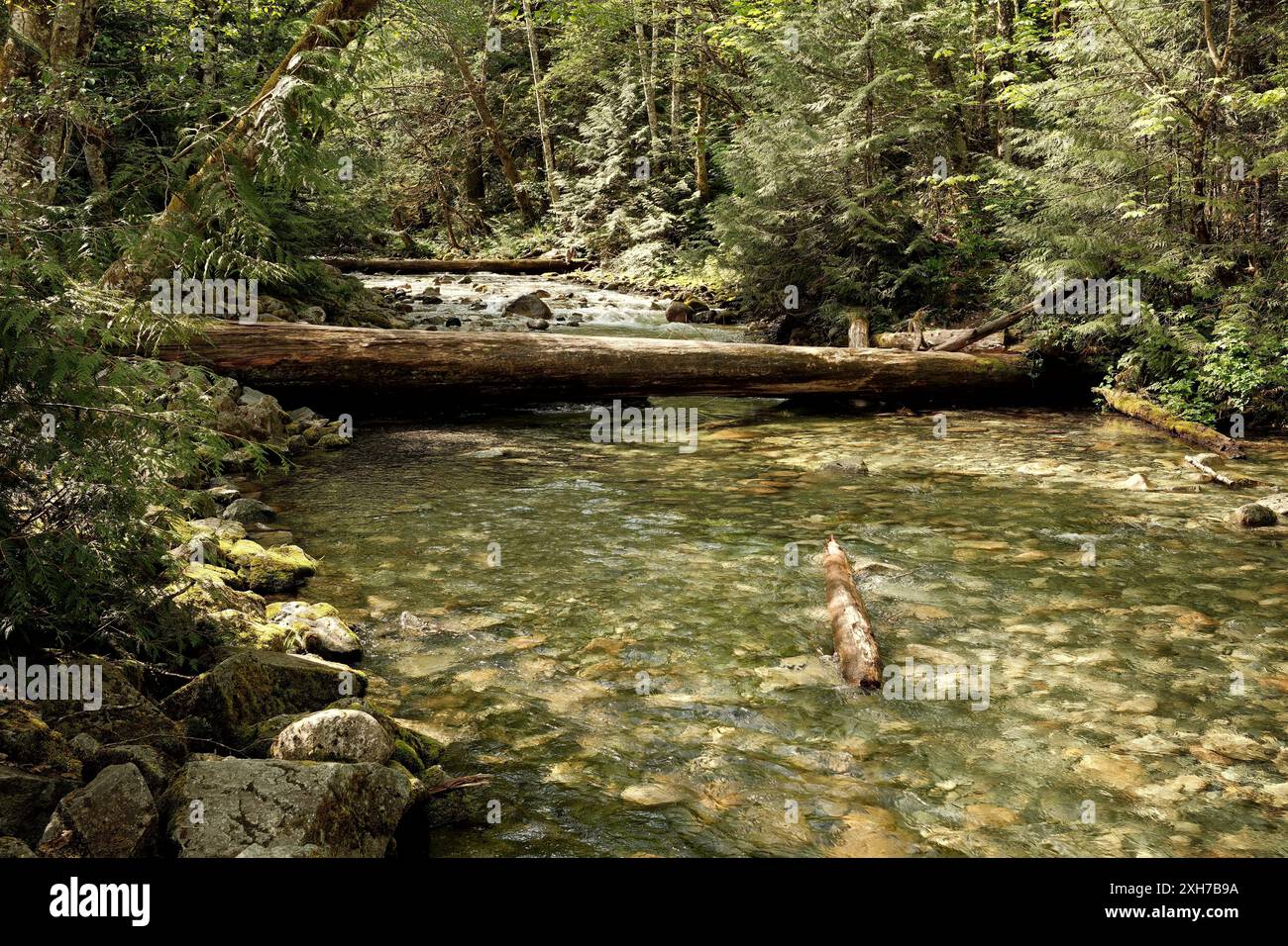 Sown Stream Stream rocks flows downstream hi-res stock photography and images - Alamy