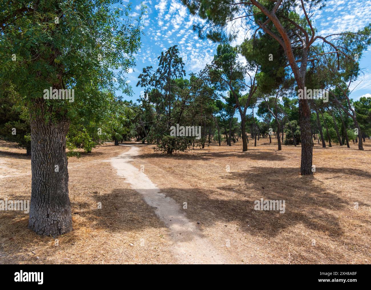 Landscape of Casa de Campo, a natural park west of Madrid, Spain Stock Photo