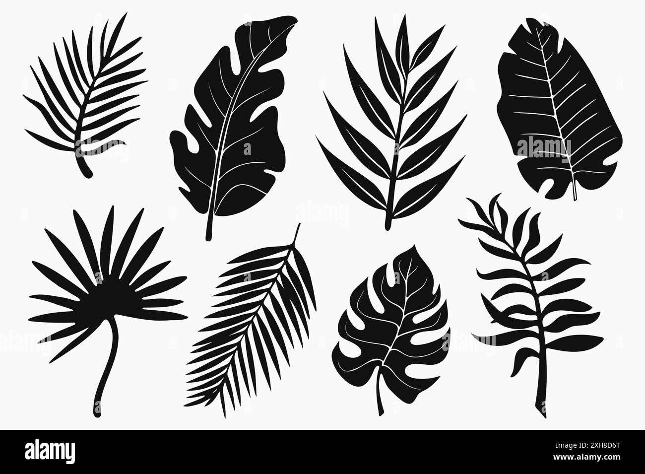 Set of silhouettes of tropical palm leaves isolated on white background ...