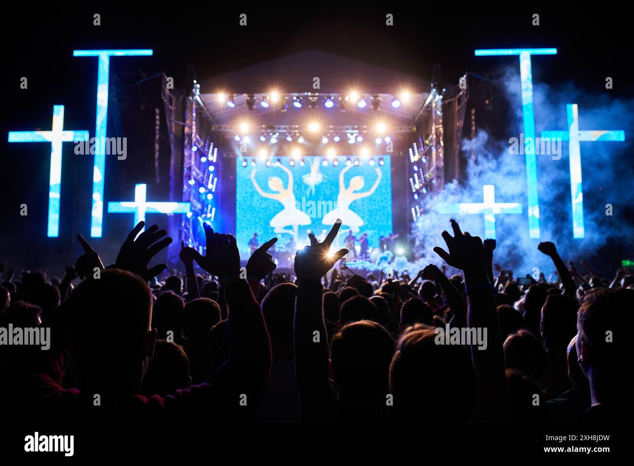Crowd Engaged in Musical Festival