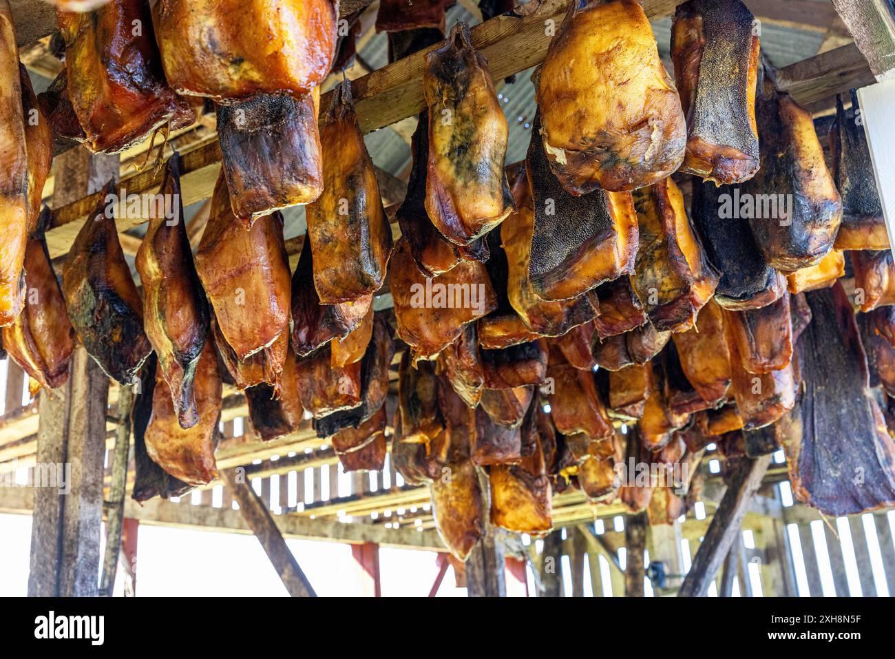 hakarl fermented shark pieces fish hanging drying wooden structure Stock Photo