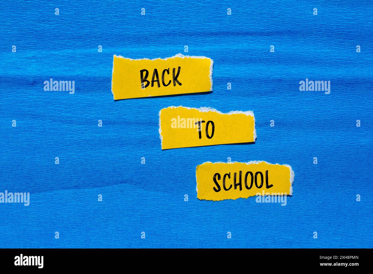 Back to school message written on ripped torn yellow paper pieces with ...