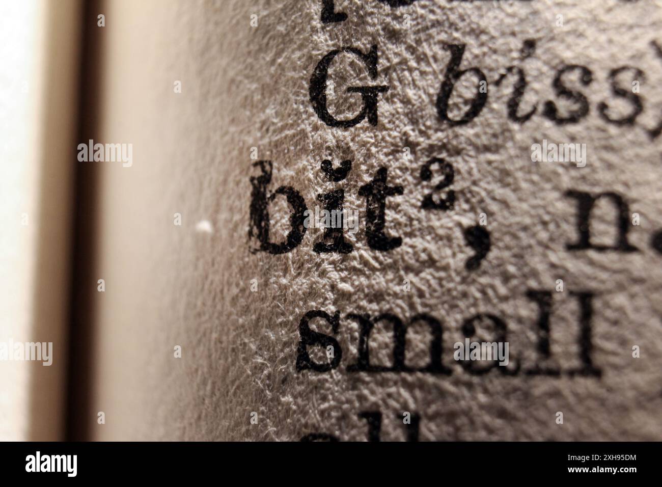 Word bit on dictionary page, macro close-up Stock Photo