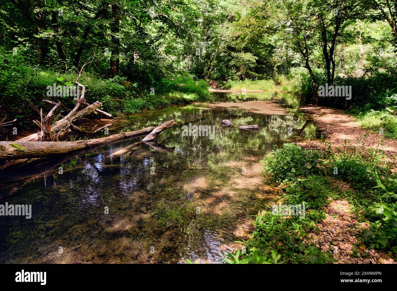 Great nature natchez trace hi-res stock photography and images - Alamy