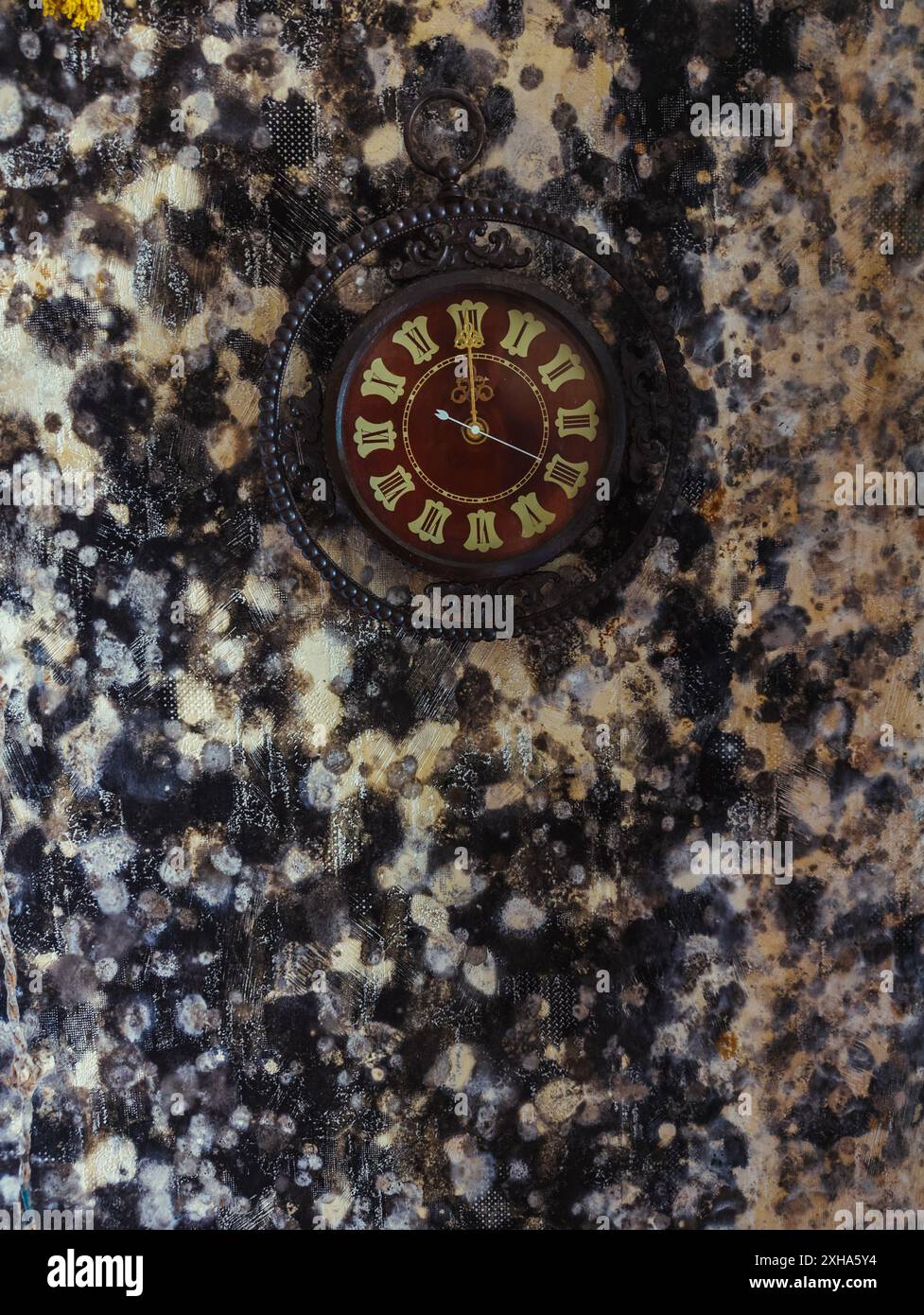 Old wall clock on wall with mold. Stock Photo