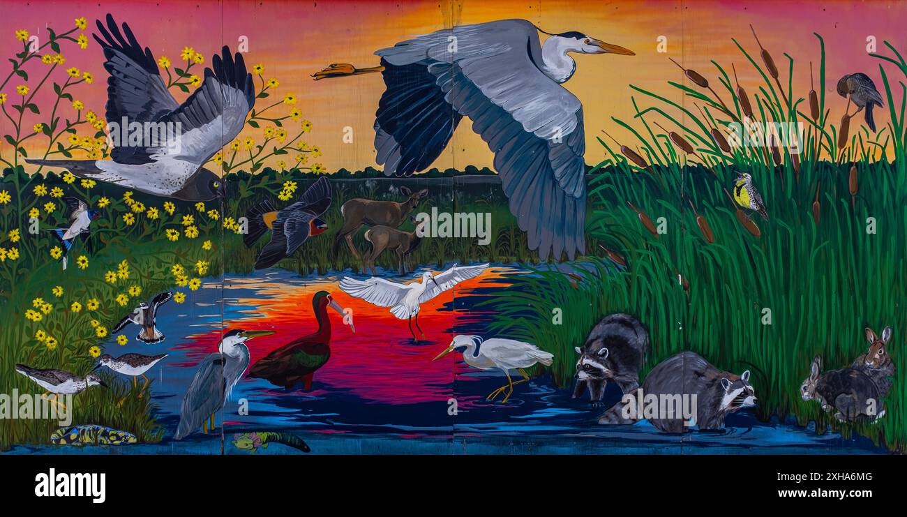 murals at the. Valle de Oro National Wildlife Refuge Stock Photo