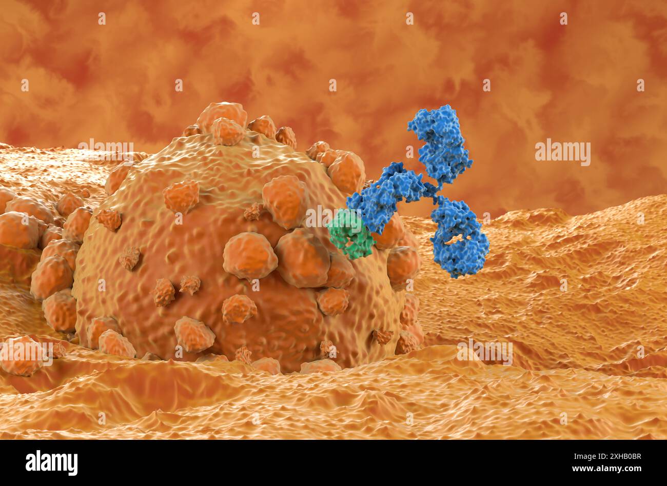 Monoclonal antibody treatment in Melanoma - closeup view 3d illustration Stock Photo