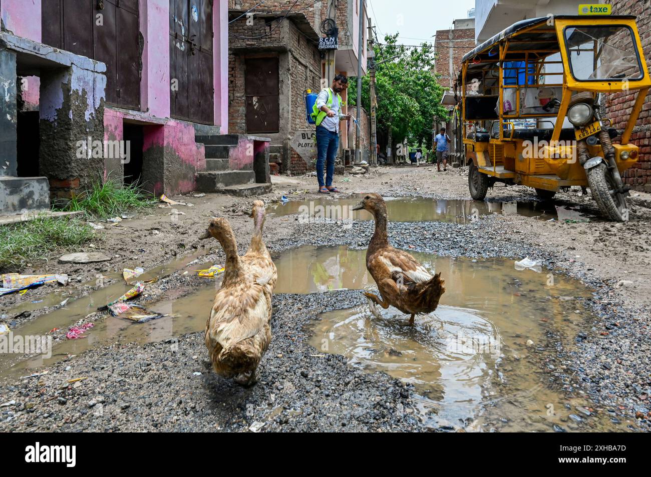 New Delhi, India. 12th July, 2024. NEW DELHI, INDIA - JULY 12: MCD officials seen sprinkling Anti Larva Spray after the parts of JJ Colony gets flooded by water as the Munak canal breaches at Bawana on July 12, 2024 in New Delhi, India. A breach in the canal, that supplies water from Haryana to Delhi, entered the J, K and L blocks of the colony (Photo by Raj K Raj/Hindustan Times/Sipa USA) Credit: Sipa USA/Alamy Live News Stock Photo