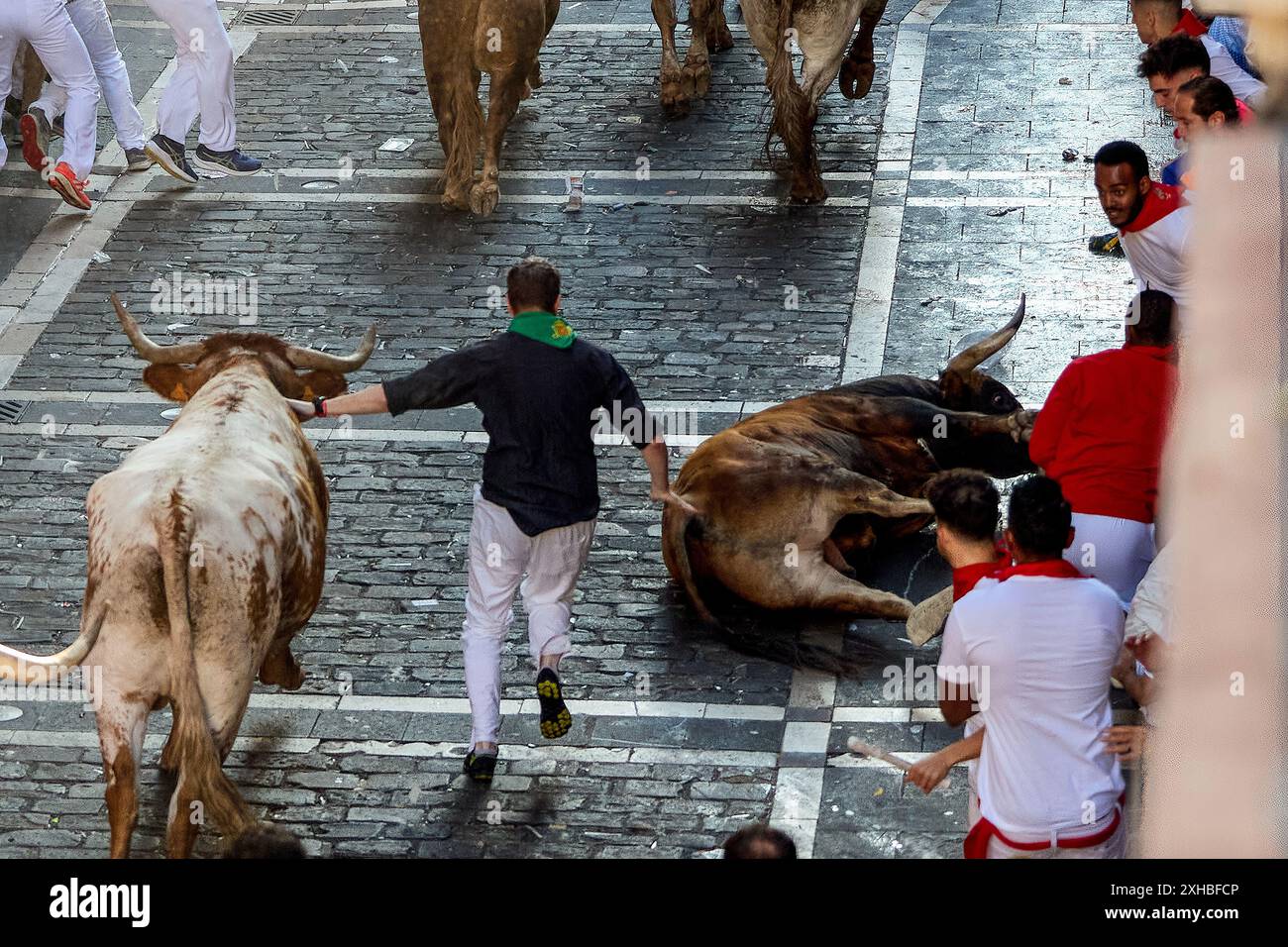 Several runners run in front of the bulls through the streets of Pamplona during the first running of the bulls at the San Fermín 2024 festivities, led by La Palmosilla Sancho. The Pamplona bull run is a tradition with medieval origins. The run takes place early in the morning, before the bull fights. Hundreds of daredevils wearing white shirts and red scarves race six bulls through the streets of the city. The event was immortalised by writer Ernest Hemingway in his 1926 book 'The Sun Also Rises'. Pamplona's festival of San Fermín is a week-long celebration which starts at noon on July 6 and Stock Photo