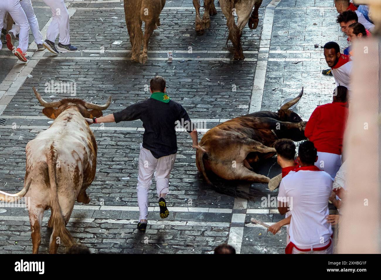 July 7, 2024, Pamplona, Spain: Several runners run in front of the bulls through the streets of Pamplona during the first running of the bulls at the San FermÃ-n 2024 festivities, led by La Palmosilla Sancho. The Pamplona bull run is a tradition with medieval origins. The run takes place early in the morning, before the bull fights. Hundreds of daredevils wearing white shirts and red scarves race six bulls through the streets of the city. The event was immortalised by writer Ernest Hemingway in his 1926 book ''The Sun Also Rises''. Pamplona's festival of San FermÃ-n is a week-long celebration Stock Photo