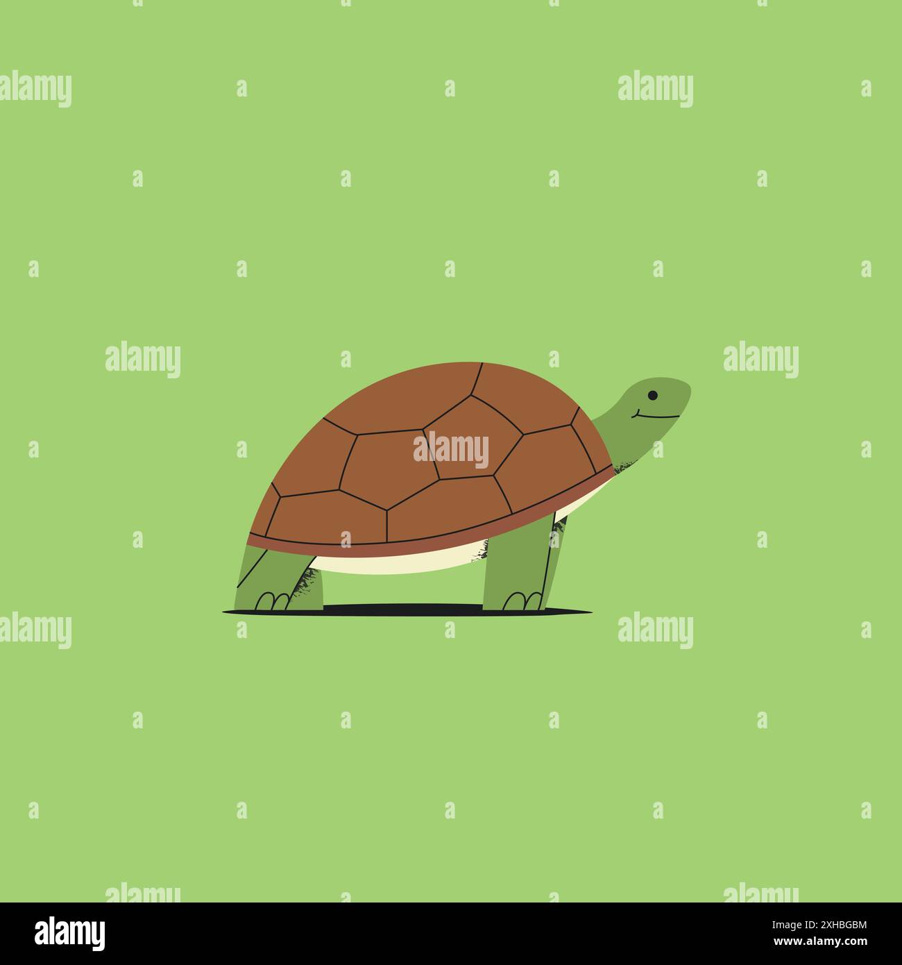 Cute turtle art with a green background vector art Stock Vector Image ...