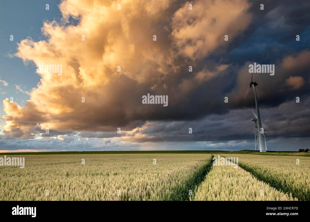 Storm over wheat field hi-res stock photography and images - Alamy