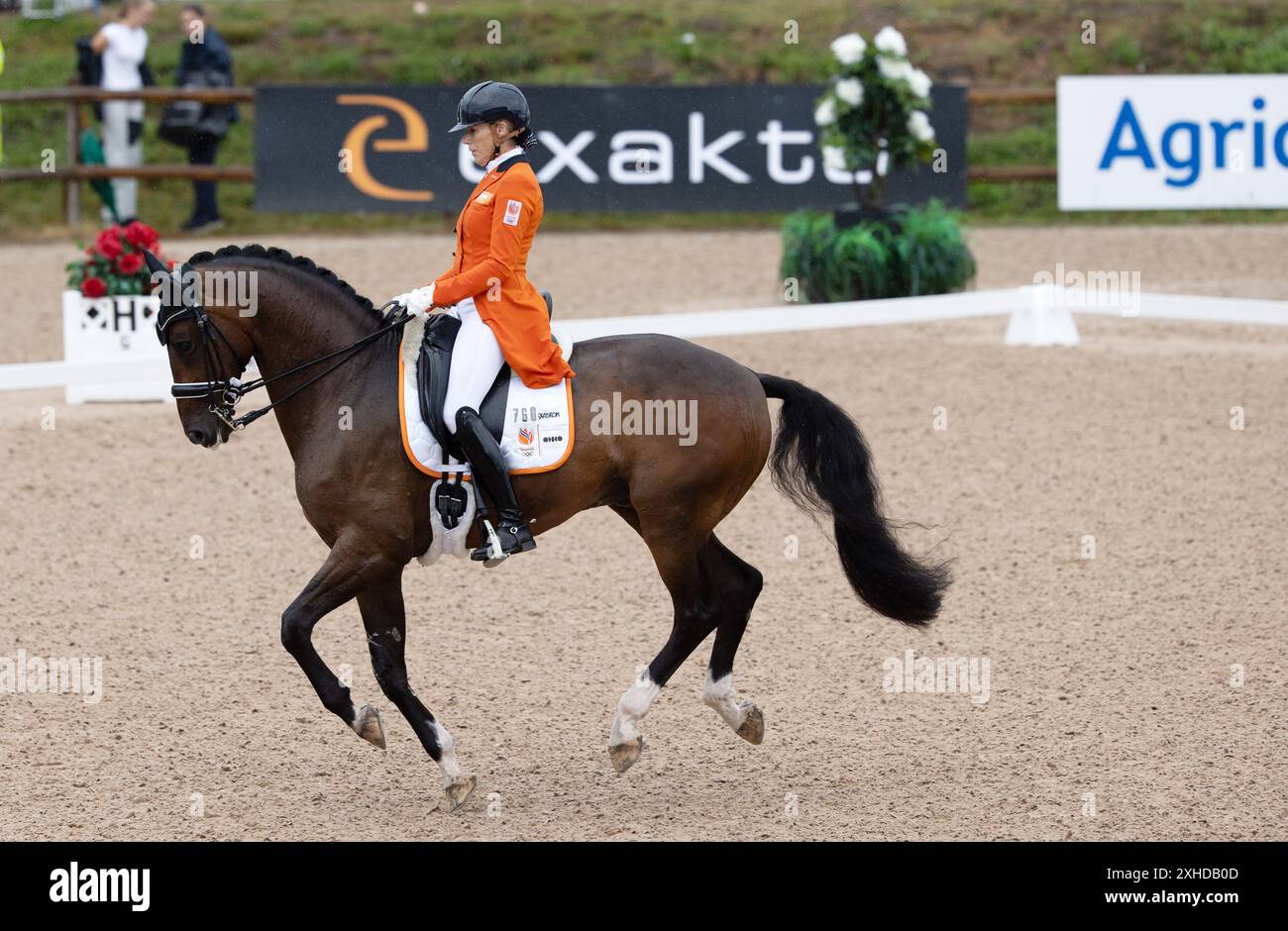 Gerdine Marie (NED) with the horse Holiday in the FEI Dressage Nations Cup Grand Prix during the Falsterbo Horse Show, Sweden. 13th July, 2024. Photo: Andreas Hillergren/TT/Code 10600 Credit: TT News Agency/Alamy Live News Stock Photo