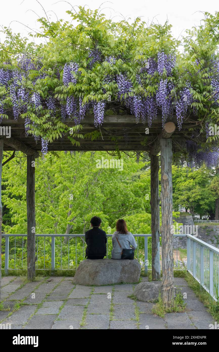 The grounds of Morioka Castle, Iwate, Japan, in early spring, where ...
