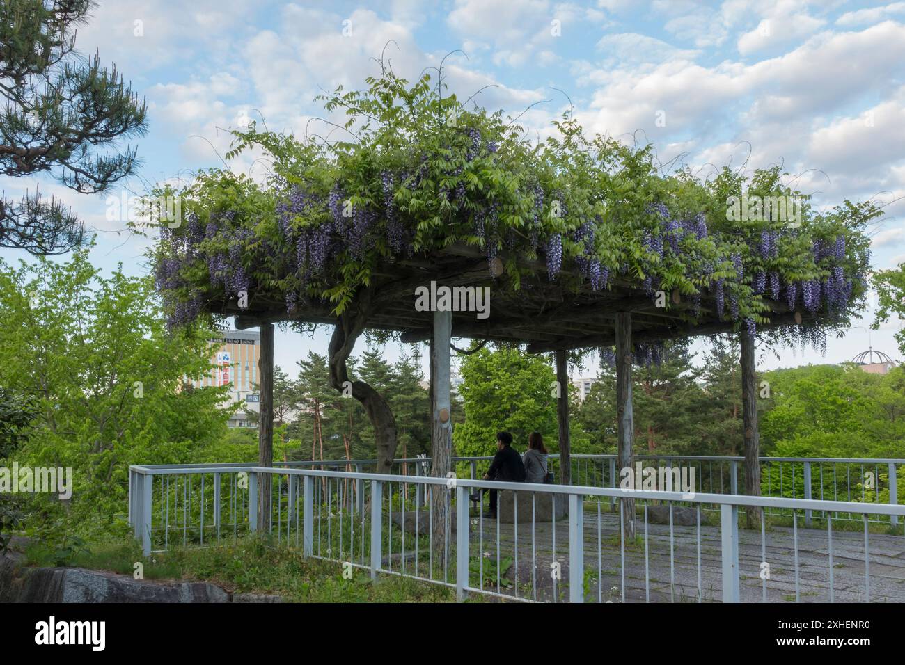 The grounds of Morioka Castle, Iwate, Japan, in early spring, where ...