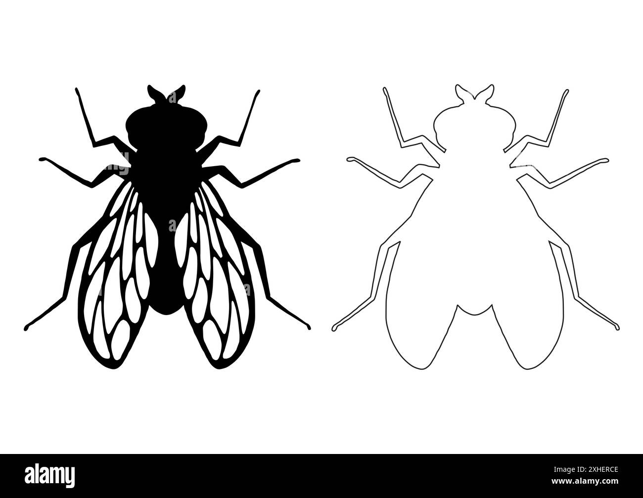 Fly Insect Silouet Fly insect. Black silhouette. Design element. Vector illustration ...