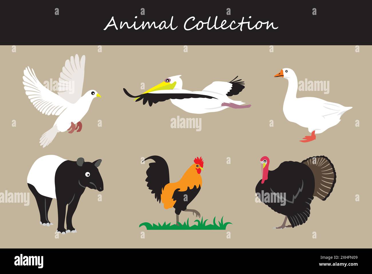 Animals collection. Flat style vector illustration Stock Vector Image ...