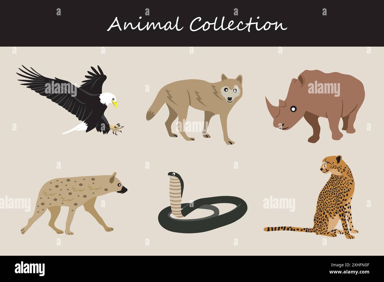 Animals collection. Flat style vector illustration Stock Vector Image ...