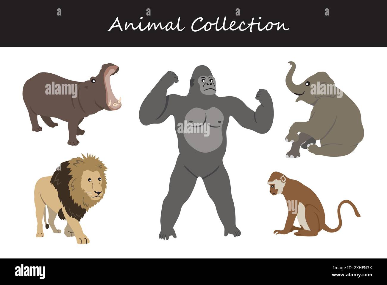 Animals collection. Flat style vector illustration Stock Vector Image ...