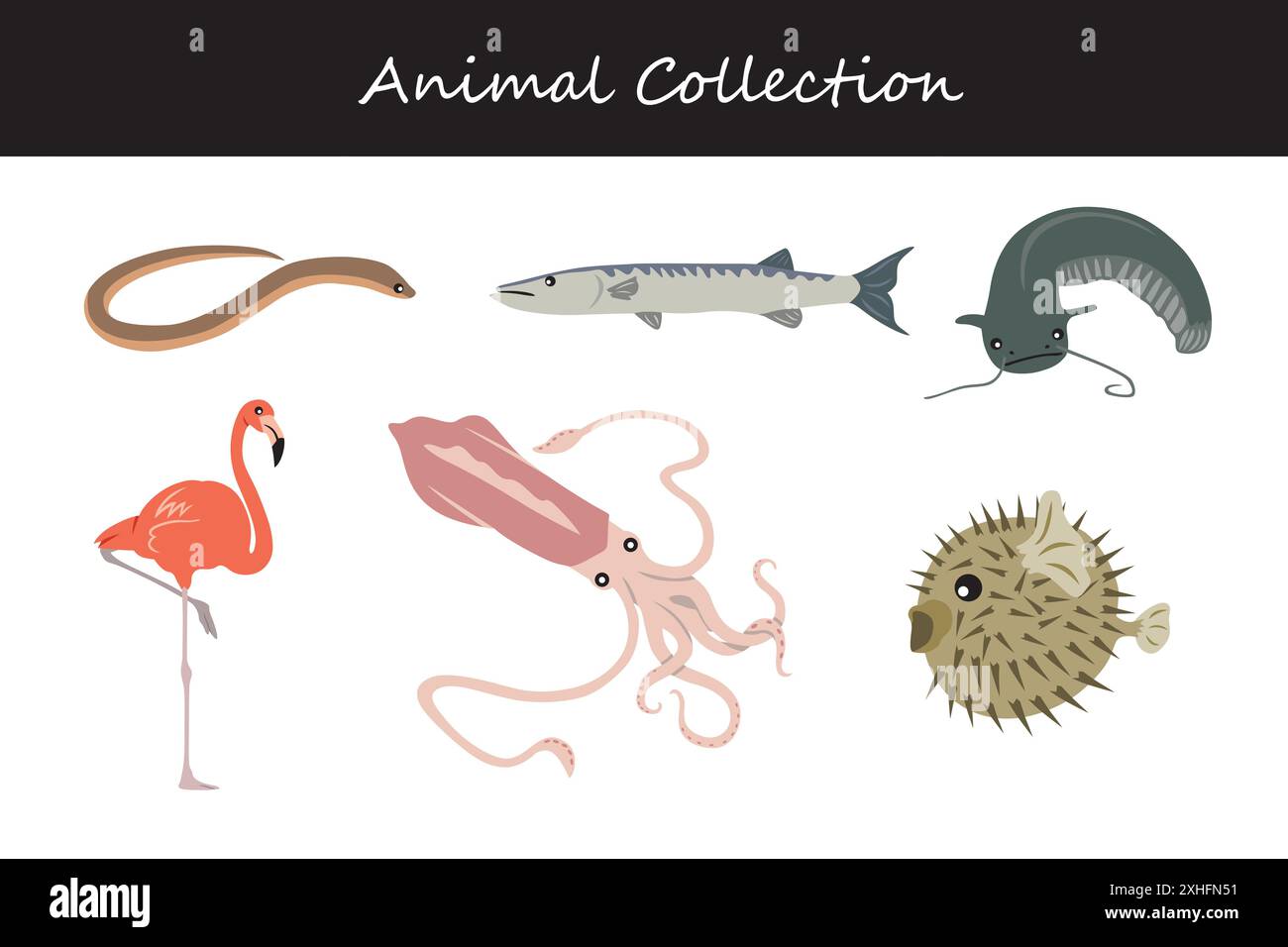 Animals collection. Flat style vector illustration Stock Vector Image ...