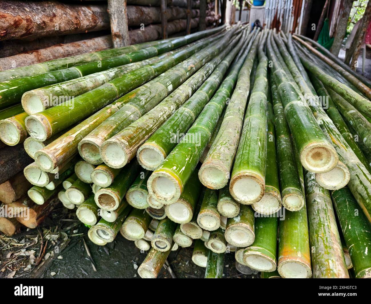 A collection of green bamboo rods piled one on top of another in a ...