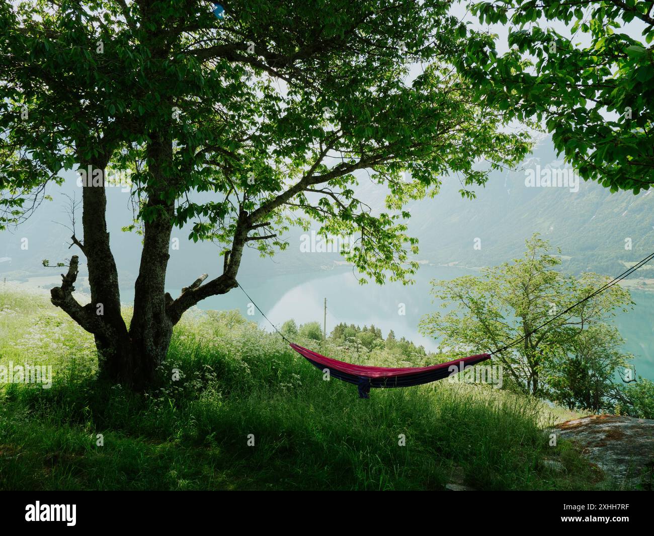 Sustainability relax hi-res stock photography and images - Alamy