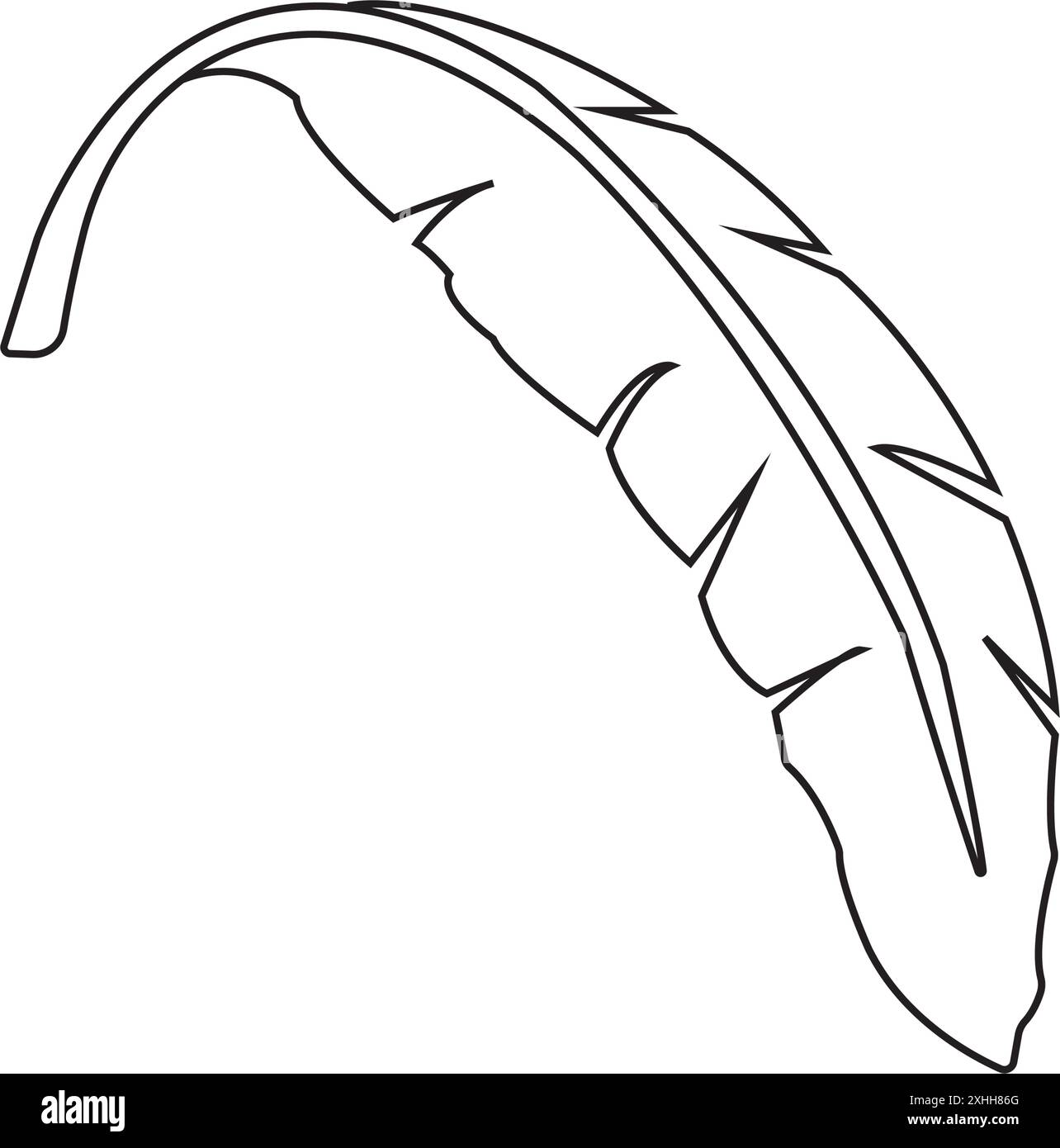 banana leaf design vector illustration Stock Vector Image & Art - Alamy
