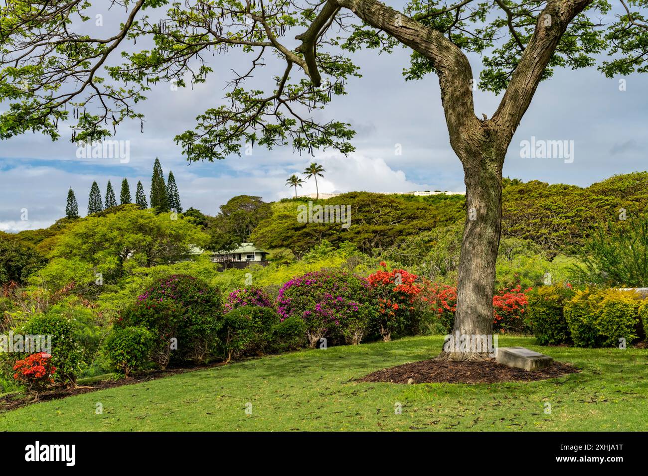 Scenic view from  the Punchbowl National Cemetery in Honolulu, Oahu, Hawaii, USA. Stock Photo