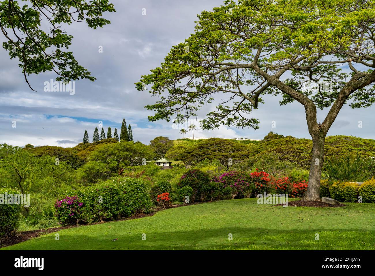 Scenic view from  the Punchbowl National Cemetery in Honolulu, Oahu, Hawaii, USA. Stock Photo