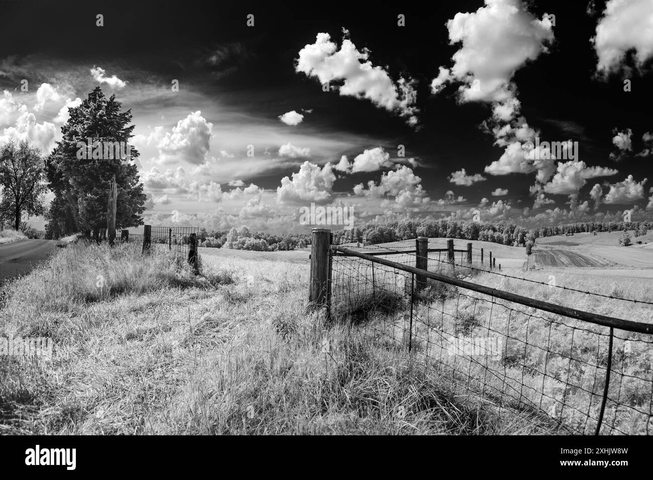 A black and white scene of an open gate leading to a pasture in rural Indiana. Fluffy mashed potato clouds against a black sky. Bright whites Stock Photo