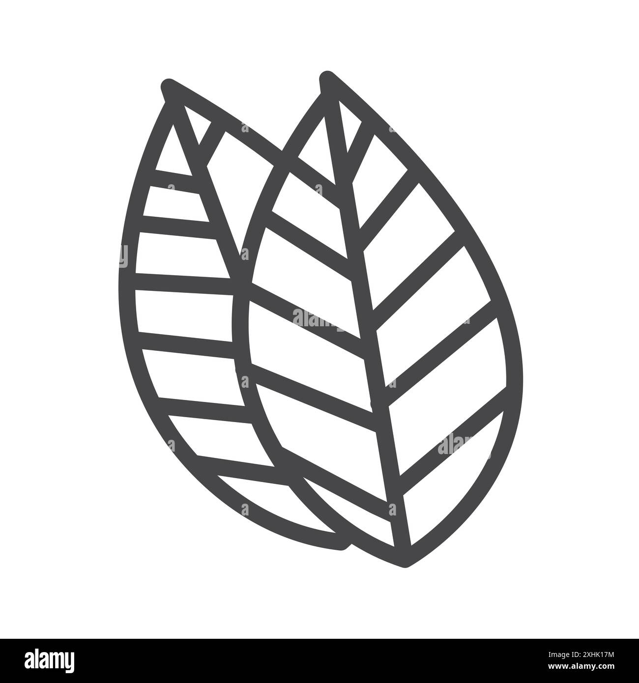 tobacco outline Tobacco sketch Stock Vector Images