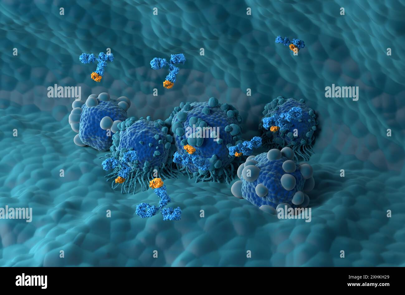 Monoclonal antibody treatment in Pancreatic cancer - isometric view 3d ...