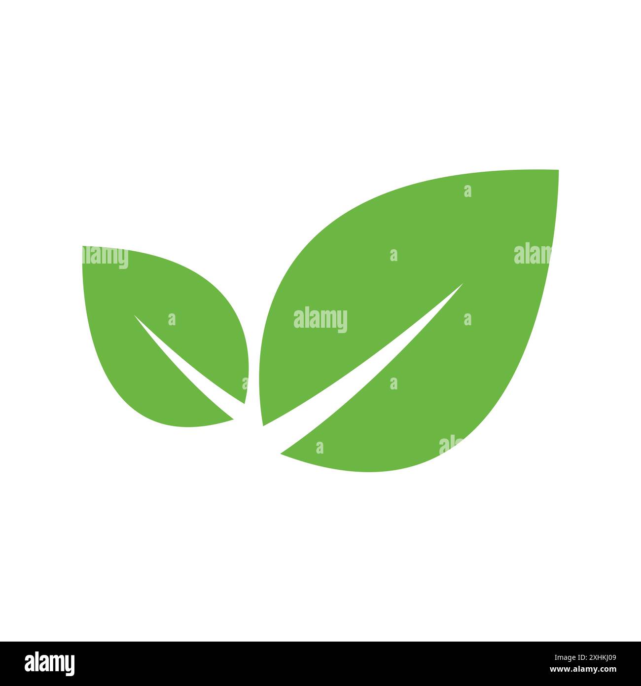 leaf icon vector design template in white background Stock Vector Image ...