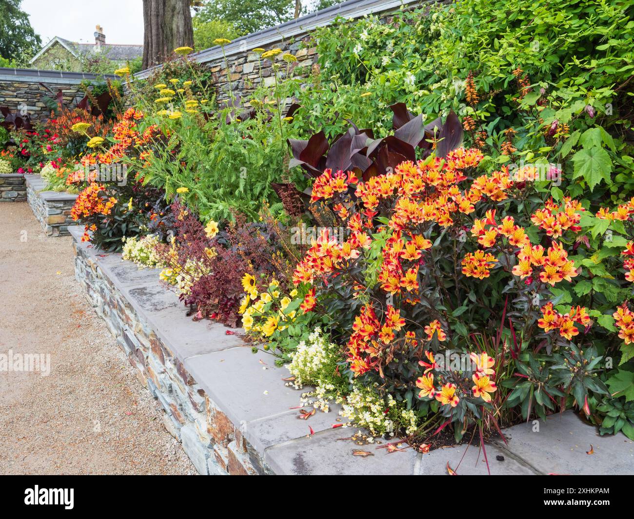 View of part of the newly opened court garden at Trebah sub tropical garden, Mawnan Smith, Cornwall, UK Stock Photo