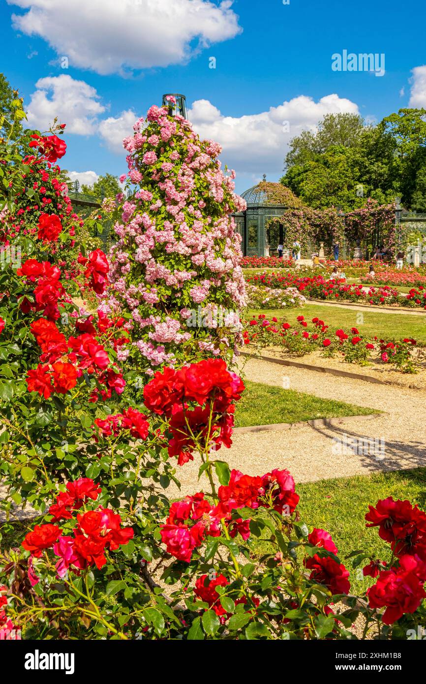 L'hay les roses hi-res stock photography and images - Alamy