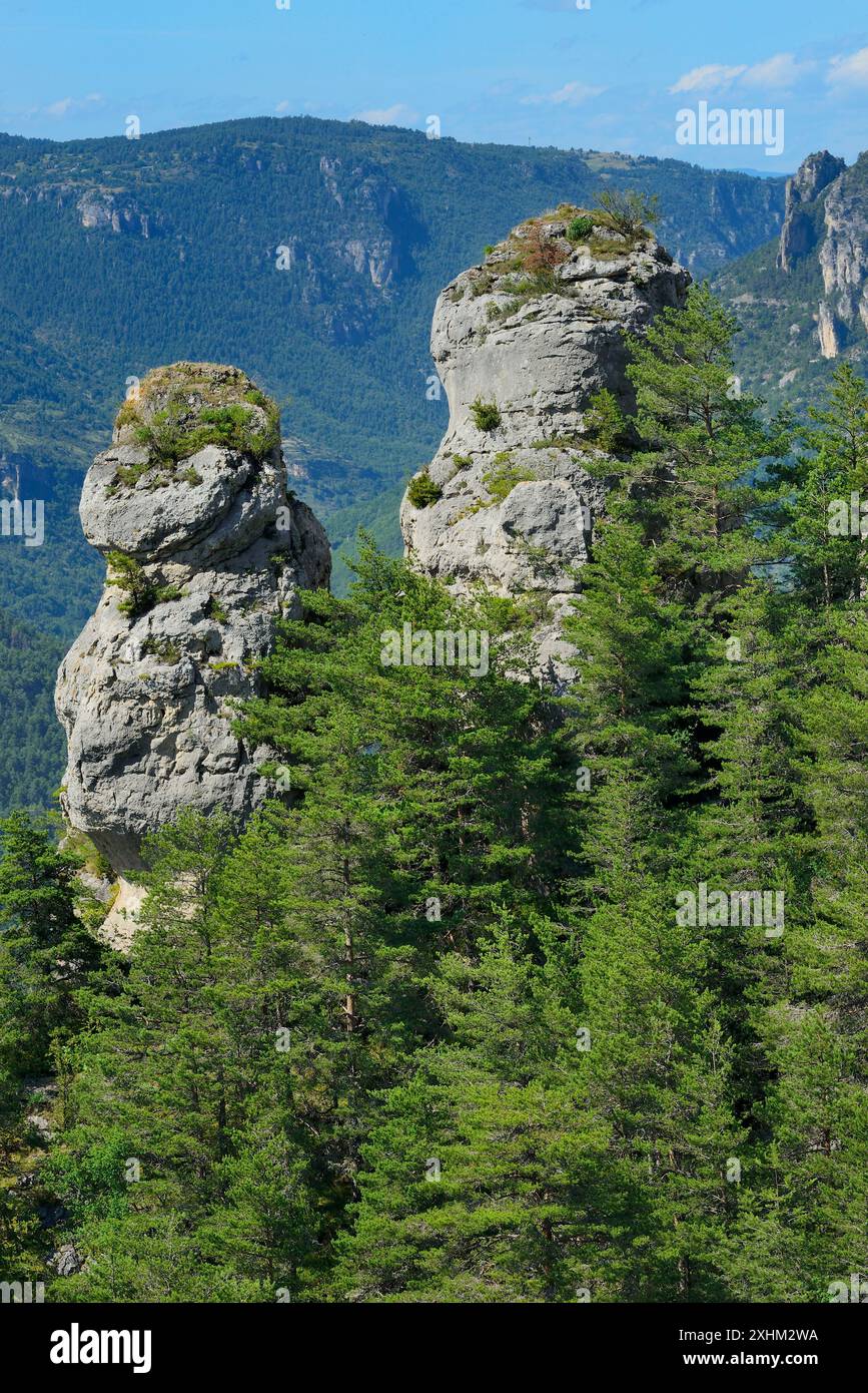 France, Lozere, Gorges du Tarn, fairy chimneys Stock Photo - Alamy