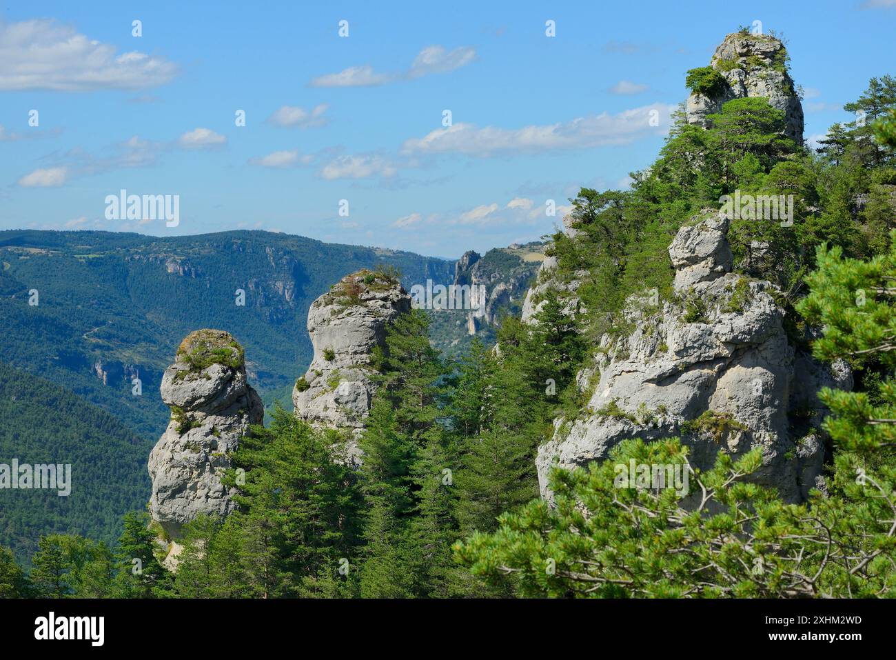 France, Lozere, Gorges du Tarn, fairy chimneys Stock Photo - Alamy