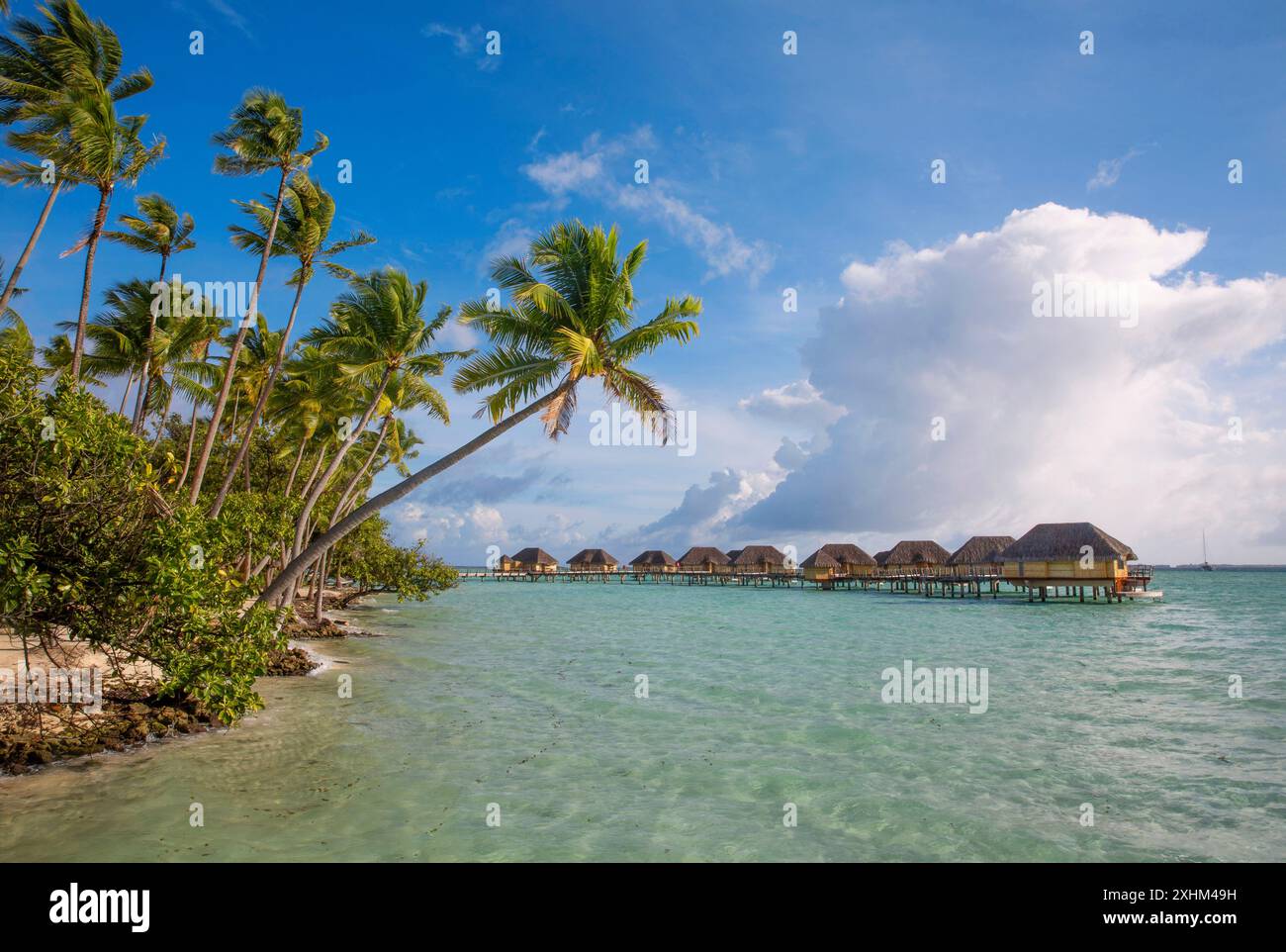 French Polynesia, Taha'a island, bungalows on stilts placed on the ...