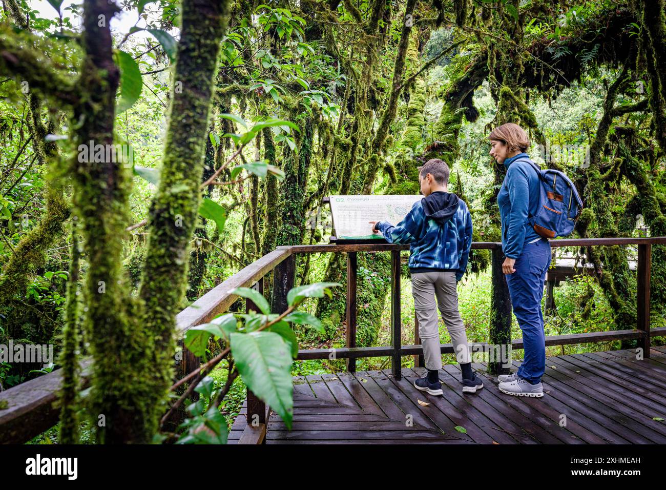 Cute boy with mother looking at hiking signage in a forest, Thailand Stock Photo